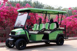 Bintelli Beyond 6PR Street Legal Golf Cart - Aluminum Frame