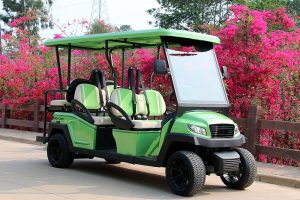 Bintelli Beyond 6PR Street Legal Golf Cart - Aluminum Frame