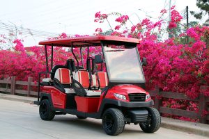 Bintelli Beyond 6PR Street Legal Golf Cart - Aluminum Frame