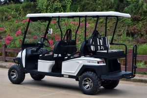 Bintelli Beyond 6PR Lifted Street Legal Golf Cart - Loaded!